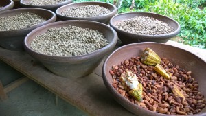 Bali plantation products, Central Bali day trip