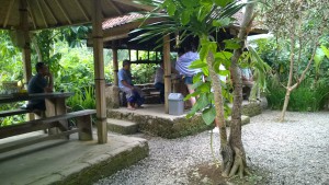 Coffee plantation visitors