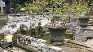 Goa Gajah ruins