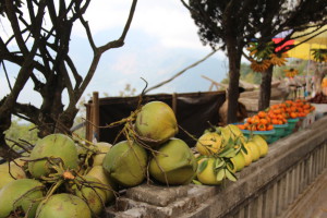 Mt. Batur fruits