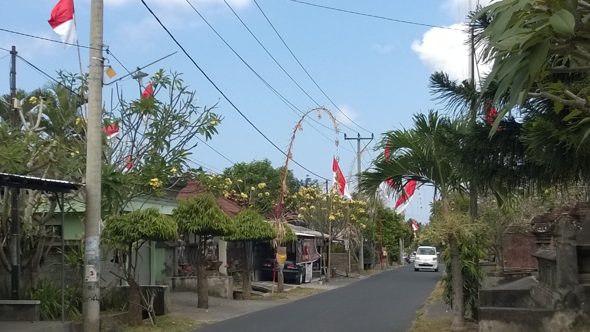 Drive in Central Bali Drive in Central Bali