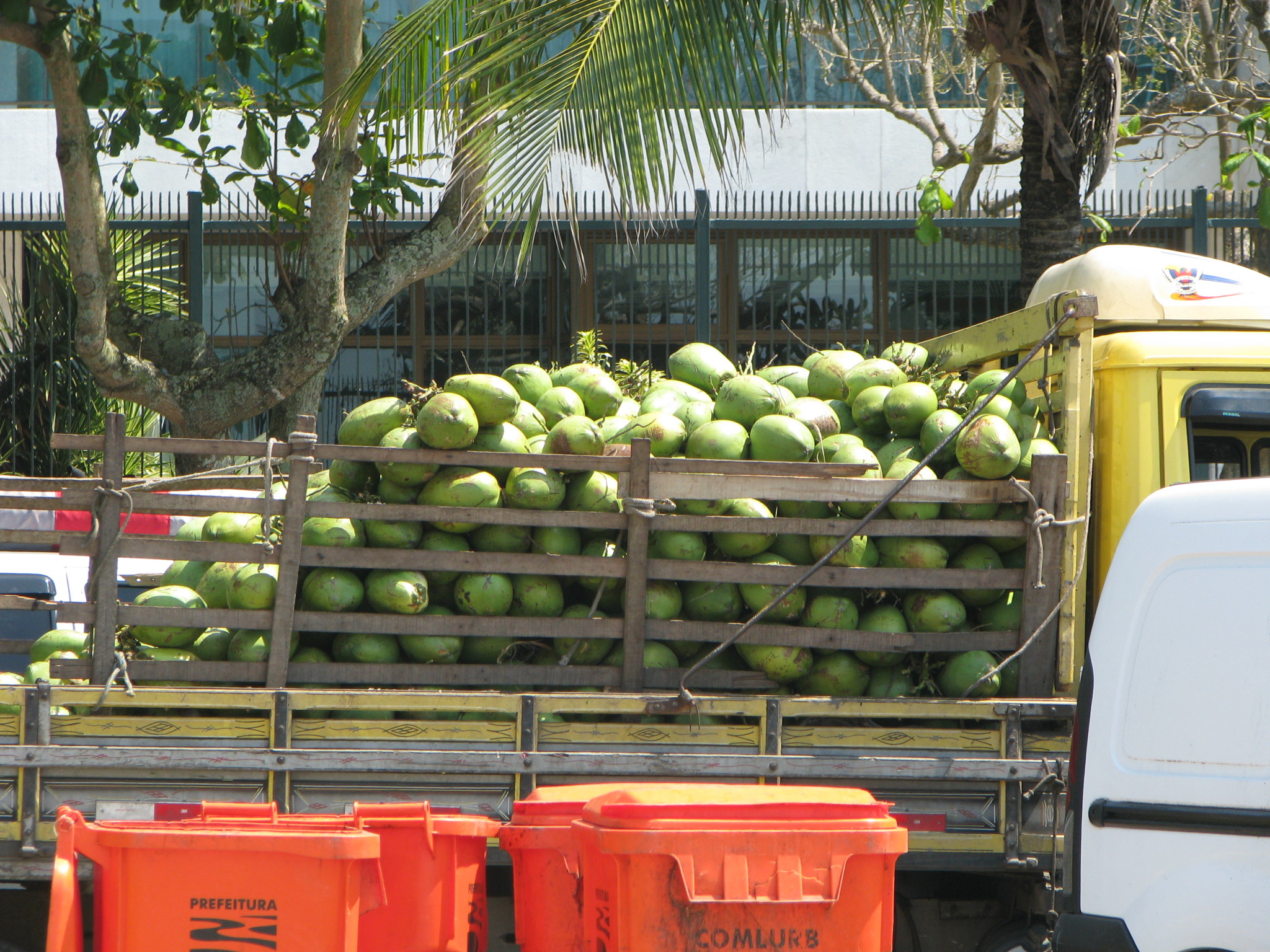 Rio de Janeiro coconut transport