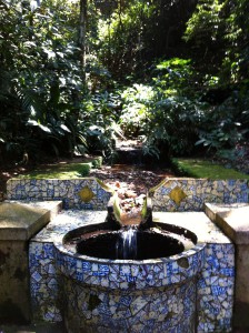 Parque National da Tijuca mosaics