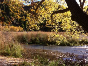 Queenstown day trips by car, Arrowtown
