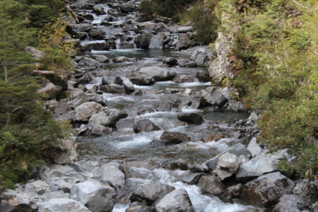Arthur's Pass National Park river Arthur's Pass National Park river