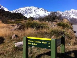 Blue Lakes and Tasman Glacier View Track