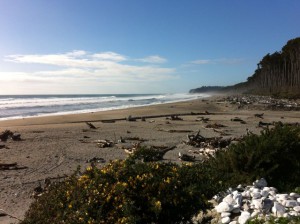 Bruce Bay New Zealand