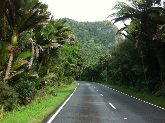 Driving in Punakaiki rainforest
