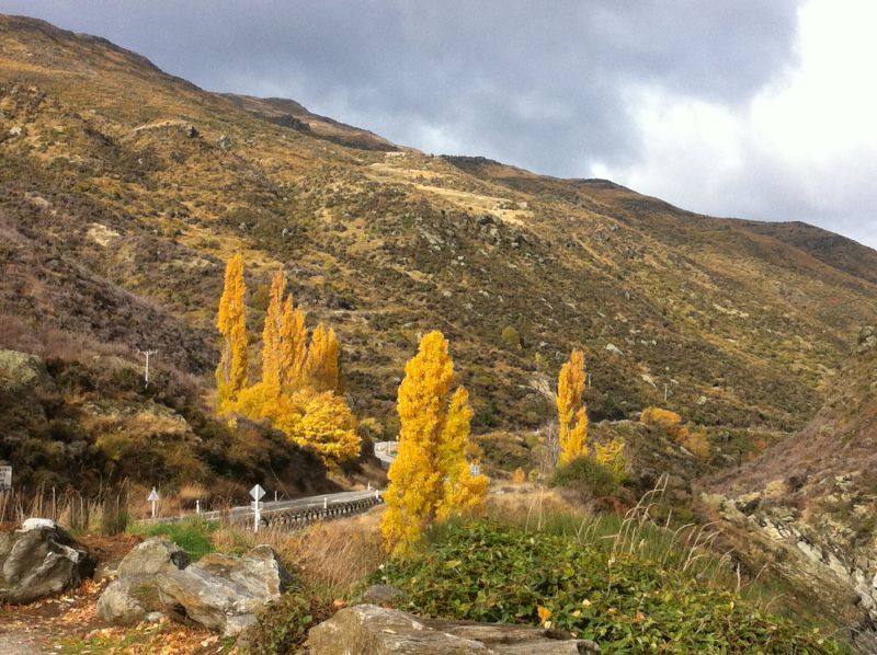 Driving from West Coast to Queenstown 