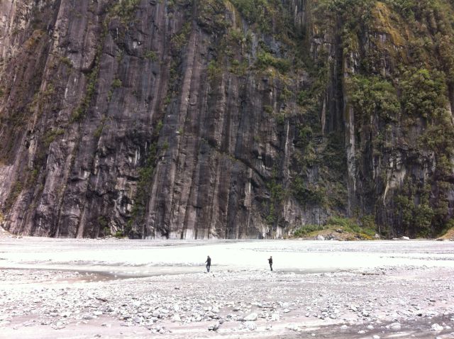 Fox Glacier visitors