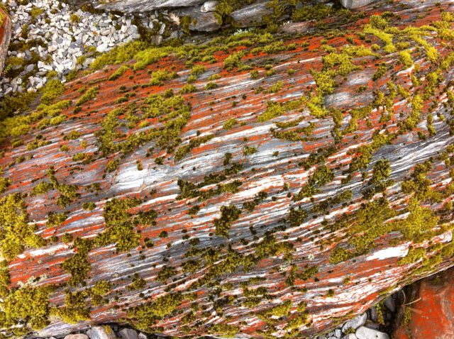 Franz Josef Glacier rock