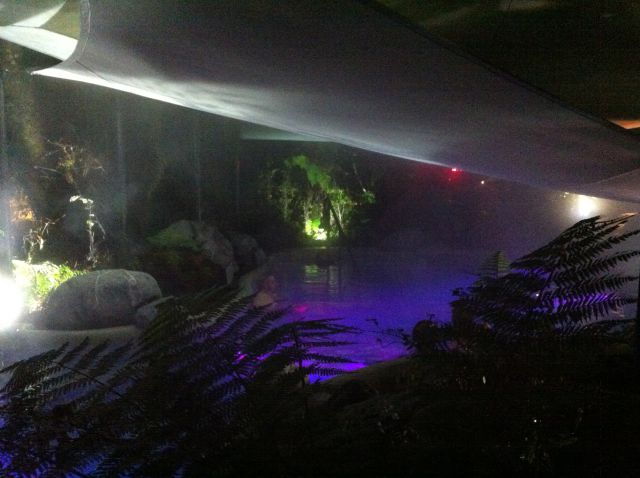 Franz Josef Glacier Hot Pools
