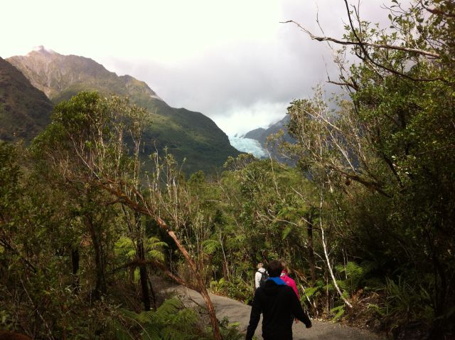 Walking to Franz Josef Glacier