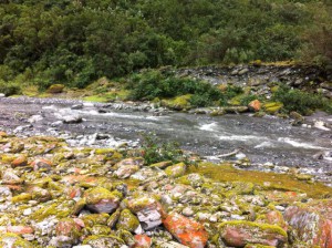 Franz Joseph Glacier river