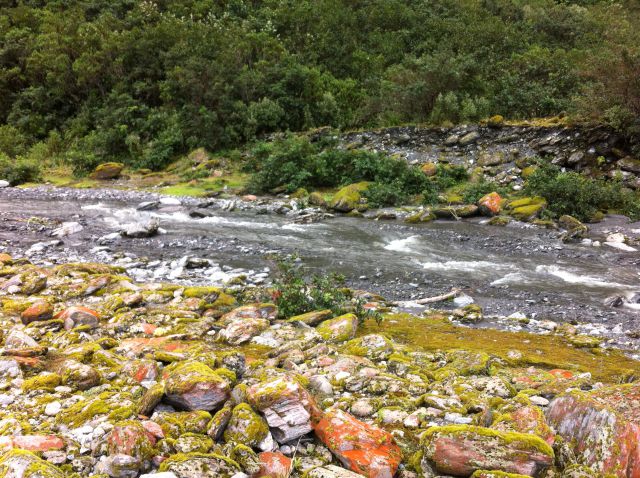 Franz Josef Glacier walking track view