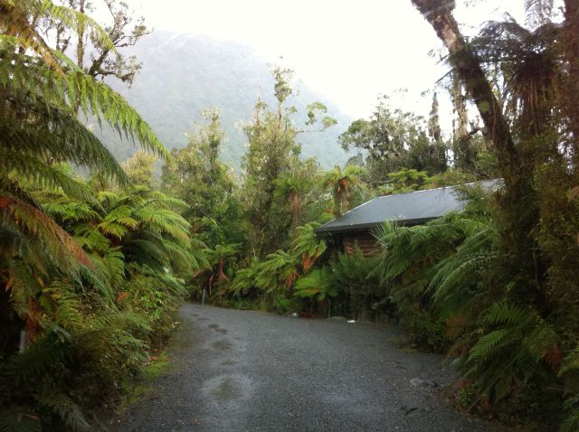 Franz Josef Rainforest Holiday Park
