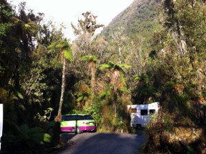 Franz Joseph Rainforest Holiday Park powered sites