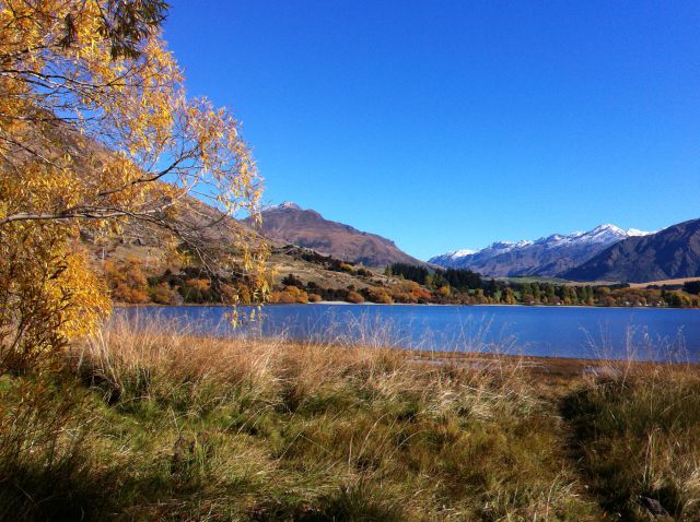 Glendhu Bay, Wanaka