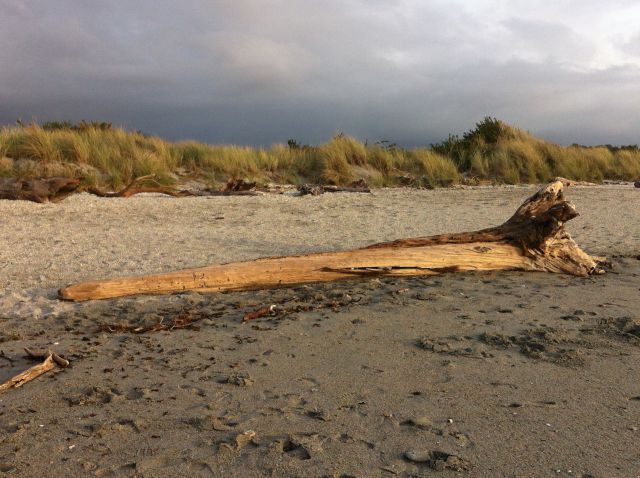Haast beach, driving in New Zealand