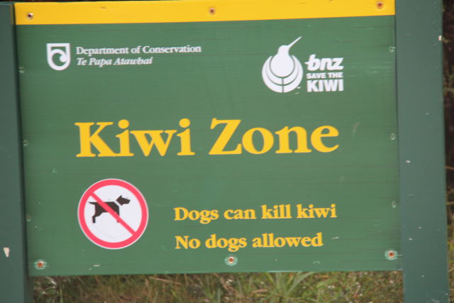 Arhtur's Pass Kiwi Zone Arthur's Pass Kiwi Zone