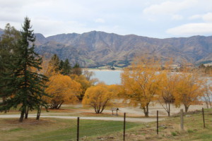 Lake Hawea campsite