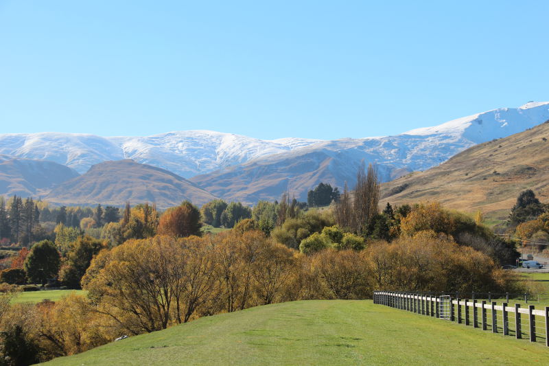 Lake Hayes surroundings