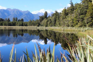 Lake Matheson view