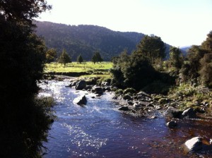 Lake Matheson walkbridge view