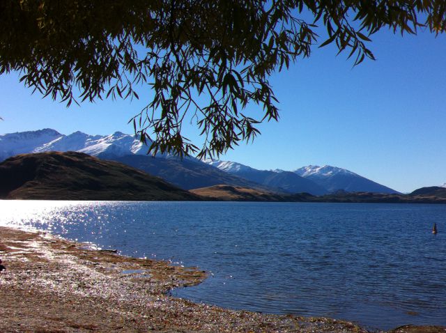 Lake Wanaka from Glendhu Beach