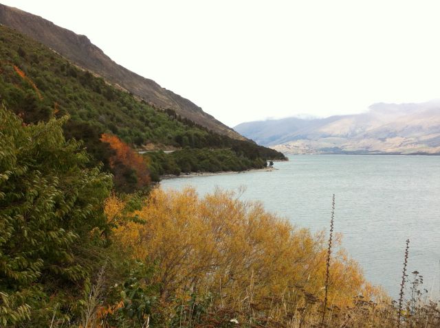 Drive from Haast to Queenstown: Lake Wanaka