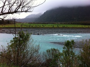New Zealand West Coast river