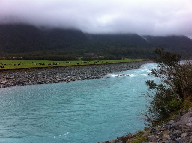 New Zealand West Coast river