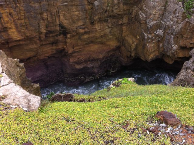 Paparoa National Park gorge