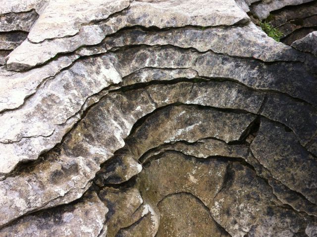 Paparoa National Park Pancakes