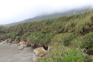 Punakaiki beach