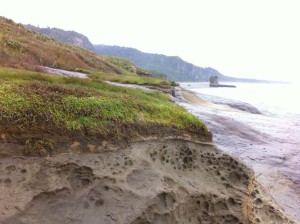 Punakaiki beach sandstones