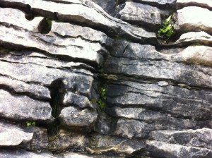 Punakaiki Pancake Rock details