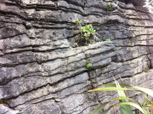 Punakaiki Pancake Rock wall