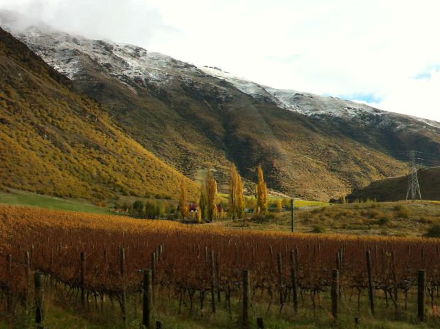 Driving from West Coast to Queenstown: Kawarau Gorge