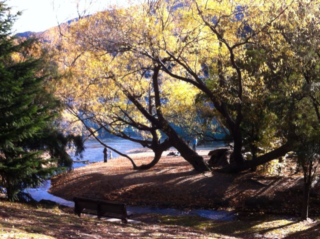 New Zealand autumn 