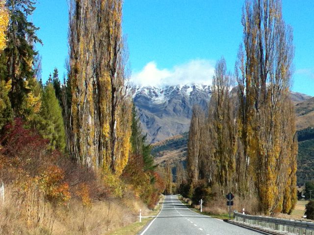 Road to Arrowtown, Queenstown Day Trips Road Arrowtown to Queenstown