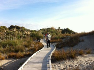 South Island West Coast beach boarwalk