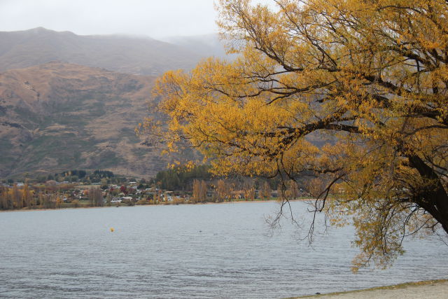 West Coast to Queenstown autumn colours