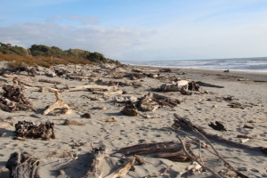 West Coast beach view