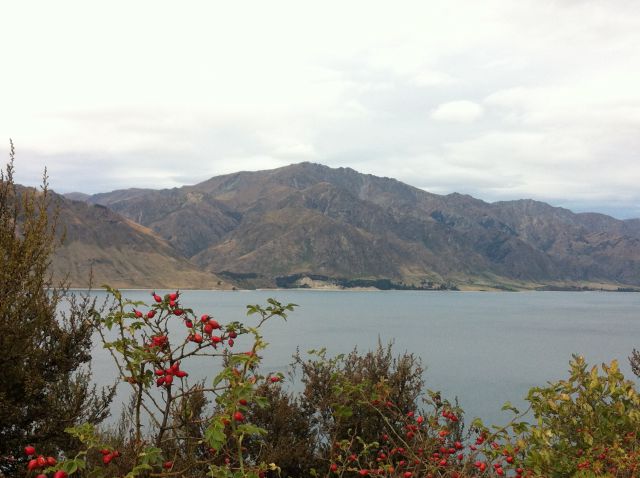 From West Coast to Queenstown, Lake Hawea 