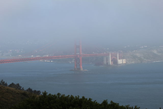 Golden Gate from Hawks Hill