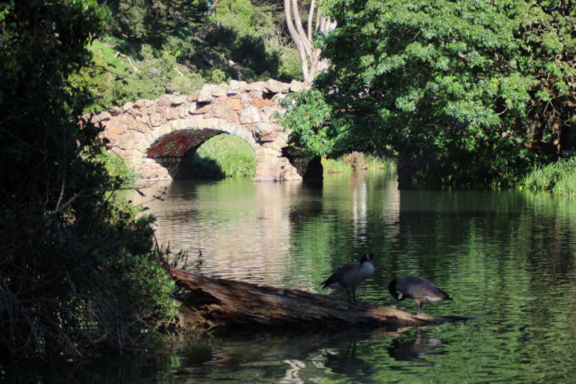 Golden Gate Park Stow Lake Golden Gate Park pond view