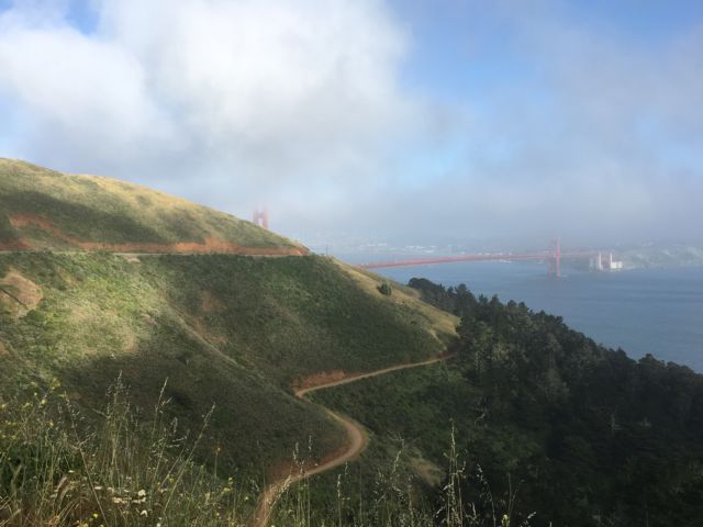 Hawk Hill roads