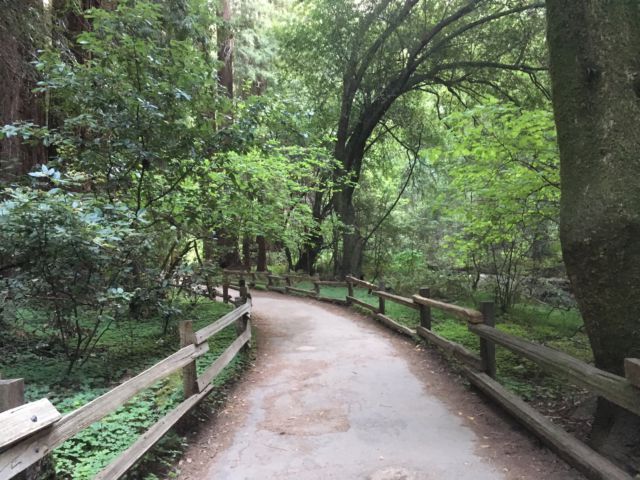Muirs Woods walking track entrance