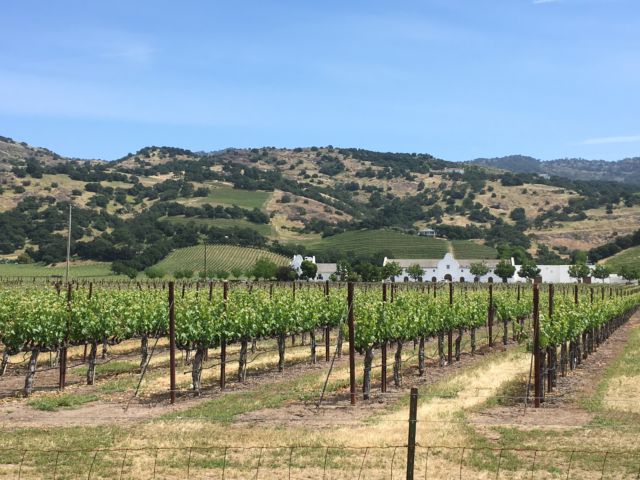 Napa Valley day trip California
